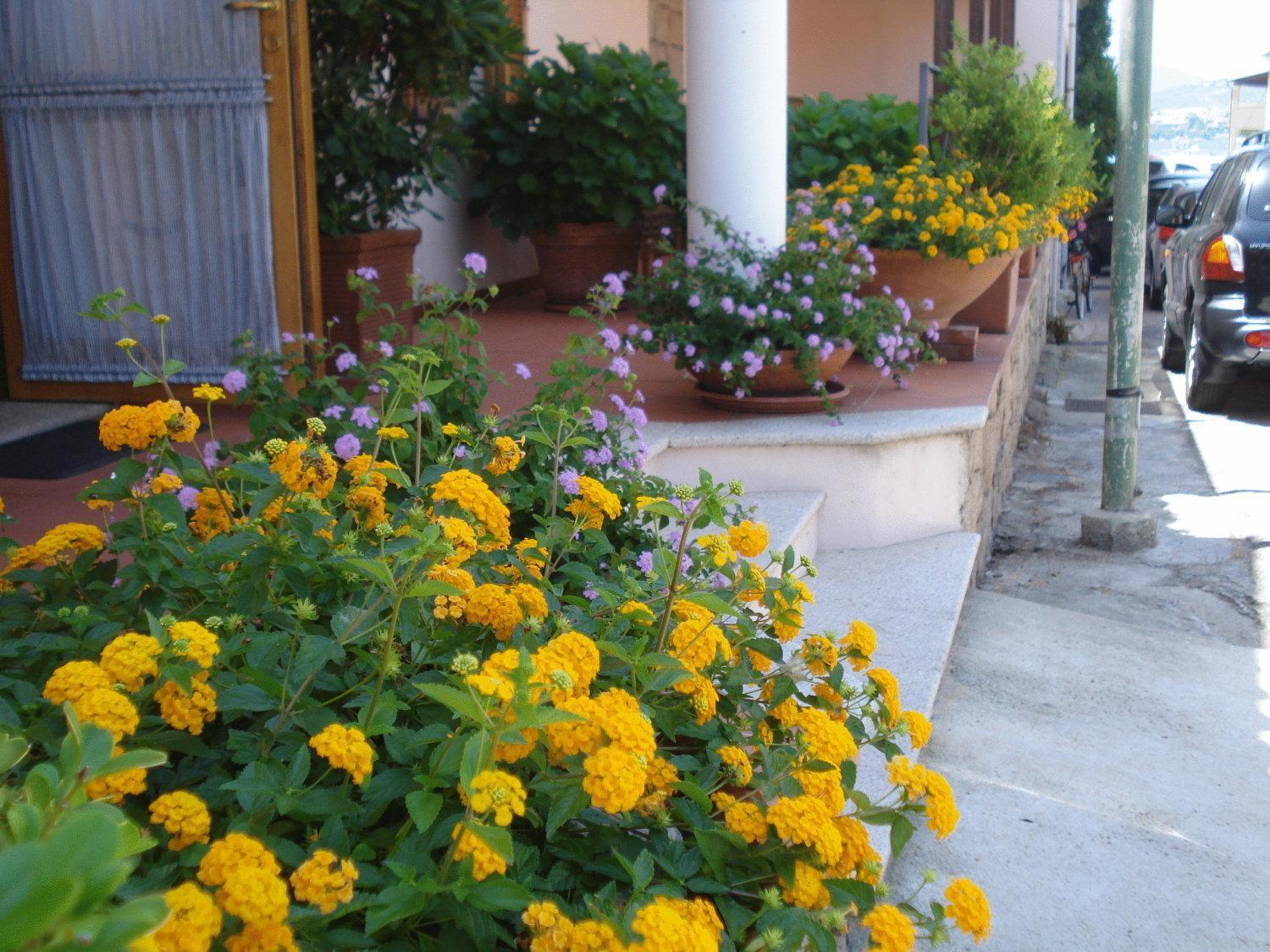 Hotel La Lampara Golfo Aranci